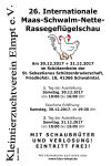 Ausstellung 2017 - A4-Handzettel/Plakat